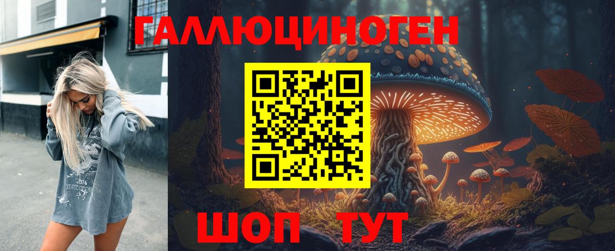 Псилоцибиновые грибы Psilocybine cubensis Новокузнецк